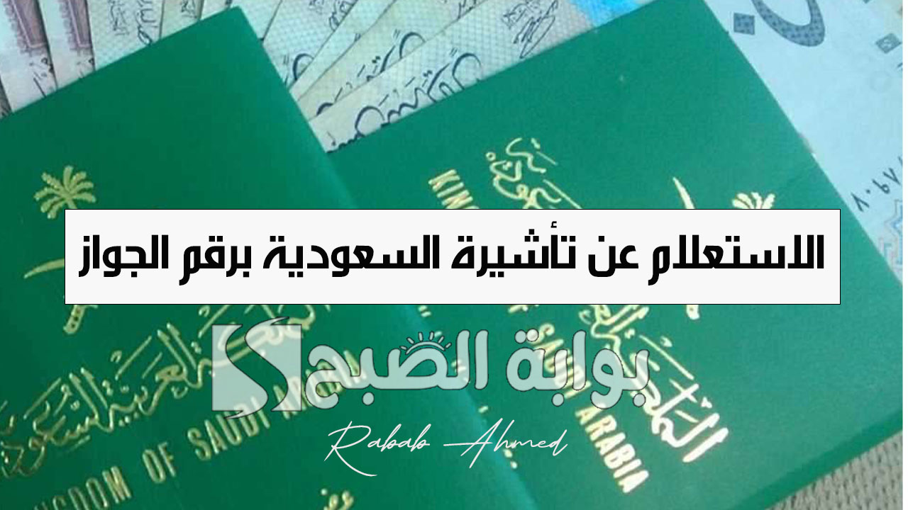 “وزارة الخارجية السعودية تُطلق”.. رابط الاستعلام عن تأشيرة السعودية برقم الجواز 2024