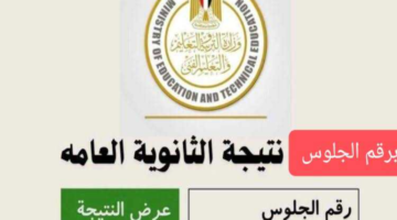 الاستعلام عن نتيجة الثانوية العامة 2024 في مصر عبر موقع الوزارة
