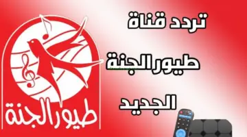 الان. تردد قناة طيور الجنة الجديد 2024 Toyor Aljanah علي القمر الصناعي نايل سات وعرب سات 1536x864 1