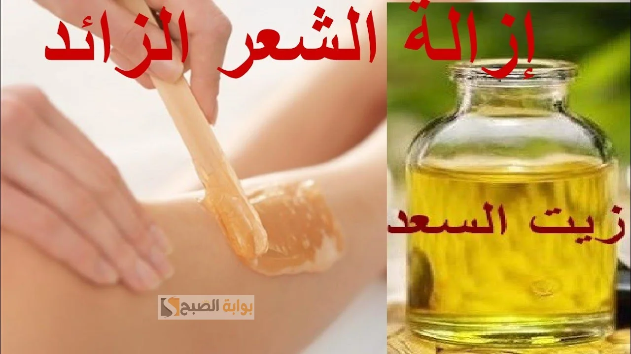 أحسن من السويت.. طريقة عمل وصفة زيت السعد للتخلص من الشعر الزائد في الجسم بدون ألم و تبييض فوري للمناطق الحساسة