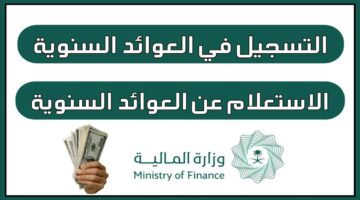 التسجيل في العوائد السنوية