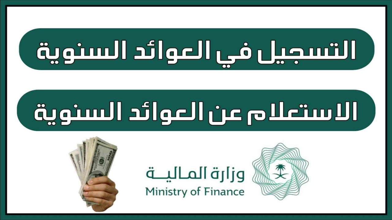 هل متاح التسجيل في العوائد السنوية 2024؟ .. وزارة المالية تُجيب