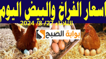الثلاثاء 27 8 2024