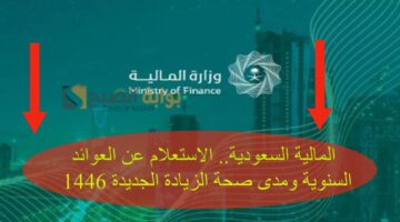 المالية السعودية الاستعلام عن ا