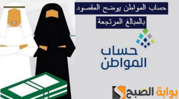 المبالغ المرتجعة في حساب المواطن