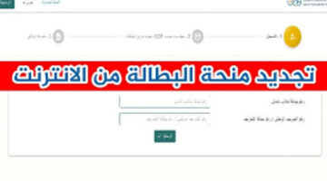 تجديد منحة البطالة في الجزائر 2024 2