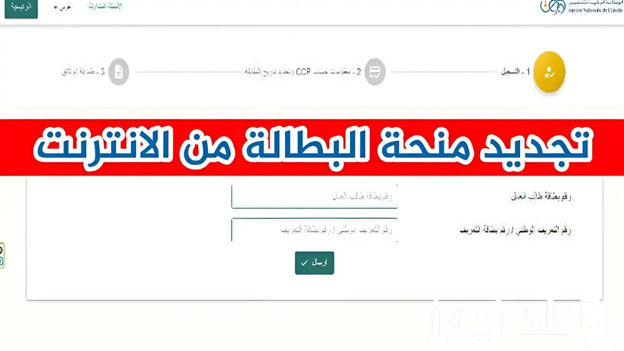 بطريقة بسيطة.. خطوات تجديد منحة البطالة كل 6 شهور بالجزائر 2024