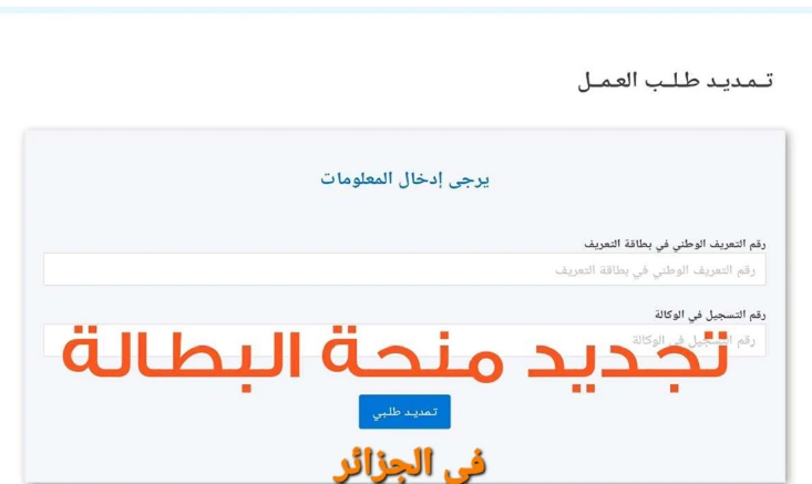رابط وخطوات تجديد منحة البطالة كل 6 أشهر بالجزائر والشروط المطلوبة للحصول على المنحة