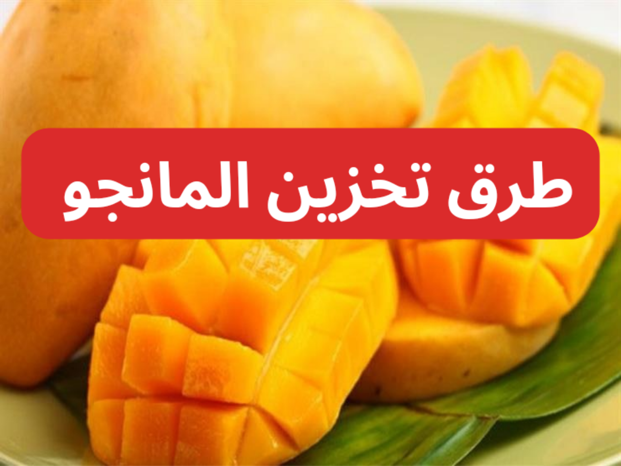 أفضل طرق تخزين المانجو في الفريزر لأكلها طول السنة