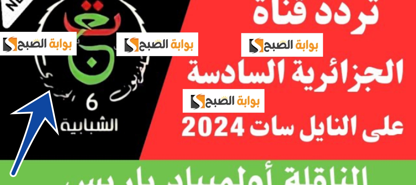 تردد قناة الجزائرية السادسة tv 6 الشبابية لمتابعة مباريات أولمبياد باريس 2024