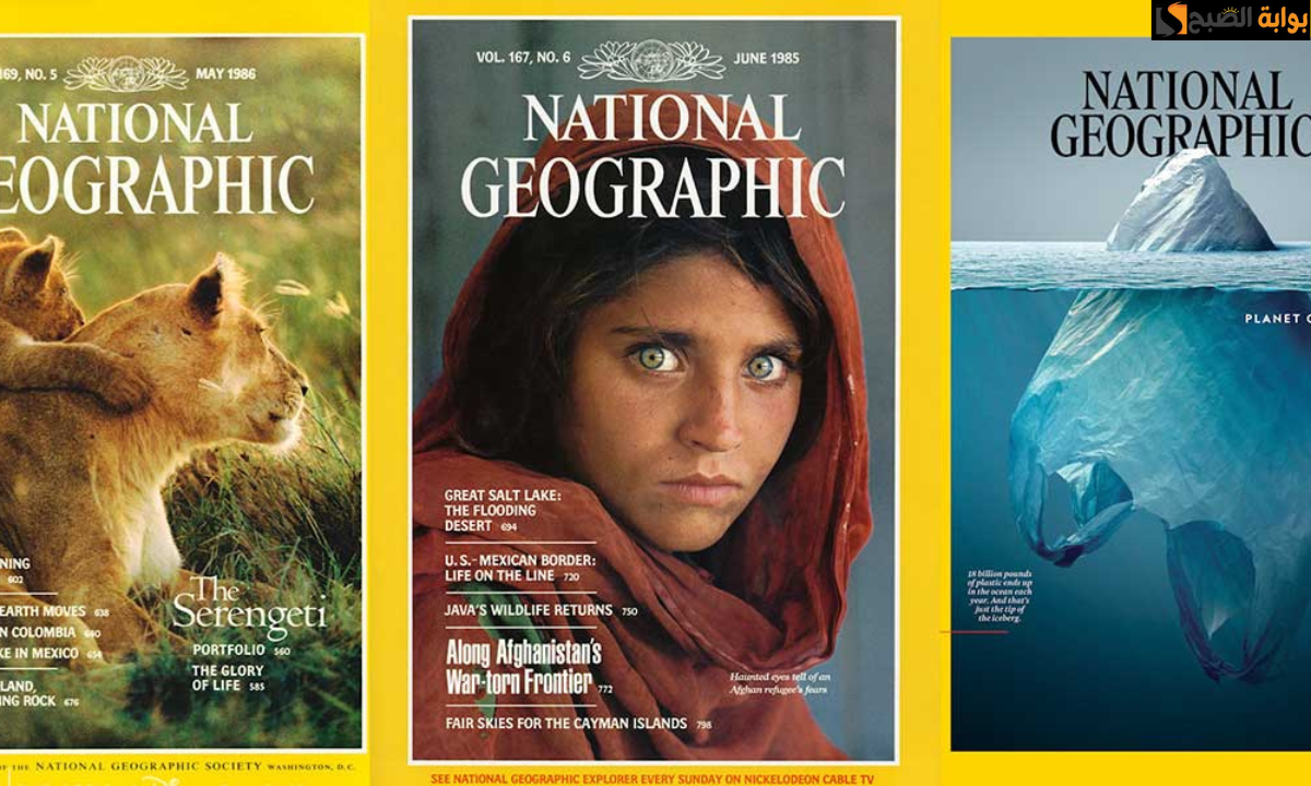 "بأقوى إشارة".. تردد قناة ناشيونال جيوغرافيك الجديد National Geographic على النايل سات والعرب سات.. لمشاهدة عالم الحيوان 5 “بأقوى إشارة”.. تردد قناة ناشيونال جيوغرافيك الجديد National Geographic على النايل سات والعرب سات.. لمشاهدة عالم الحيوان