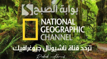 تردد قناة ناشيونال جيوغرافيك 1