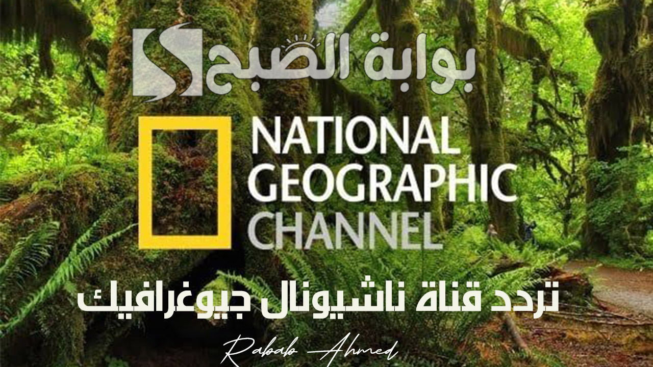 تردد قناة ناشيونال جيوغرافيك National Geographic الجديد 2024 وأهم البرامج المميزة 5 تردد قناة ناشيونال جيوغرافيك National Geographic الجديد 2024 وأهم البرامج المميزة