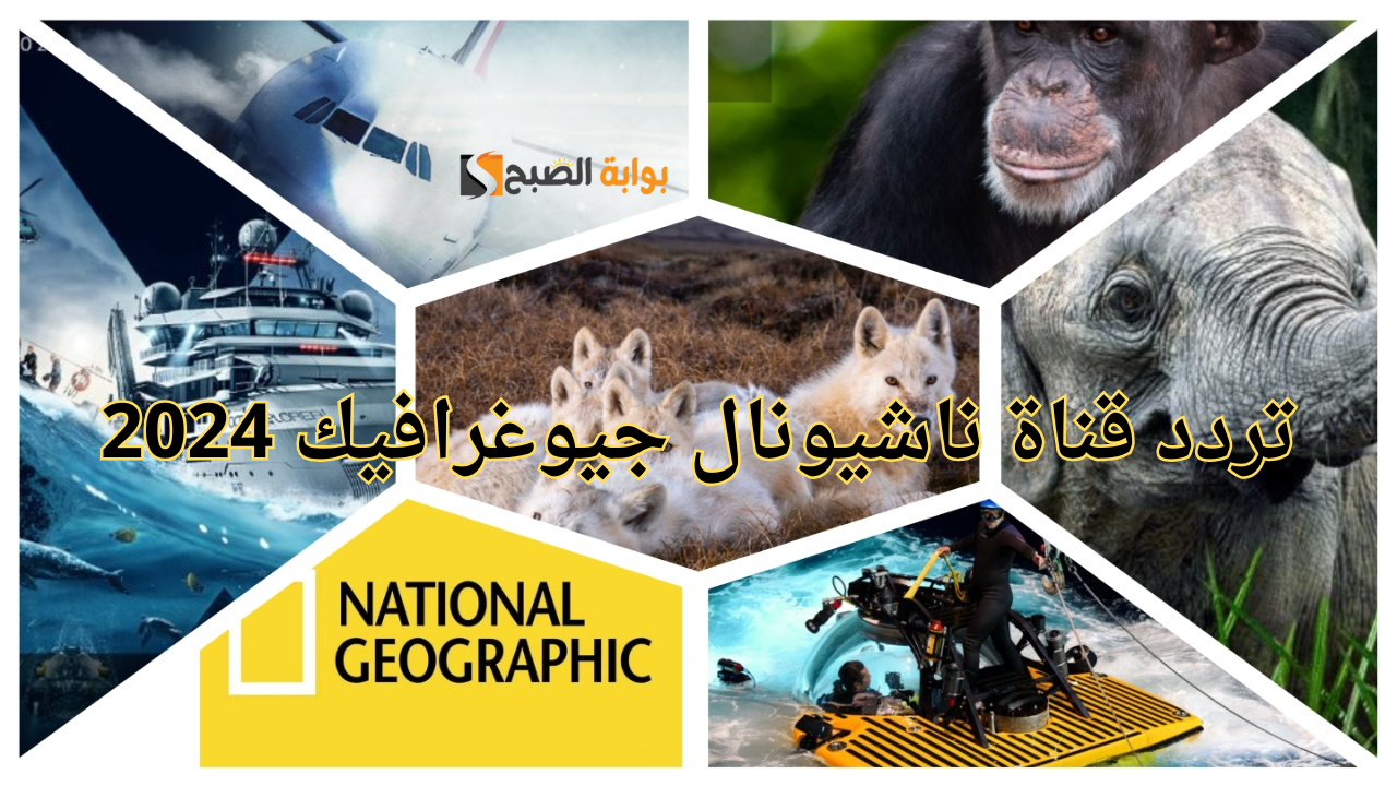 بعد التحديث الأخير .. تردد قناة ناشيونال جيوغرافيك 2024 الوثائقية على الأقمار الصناعية