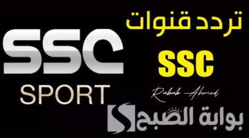 تردد قنوات ssc المجانية 2024 1