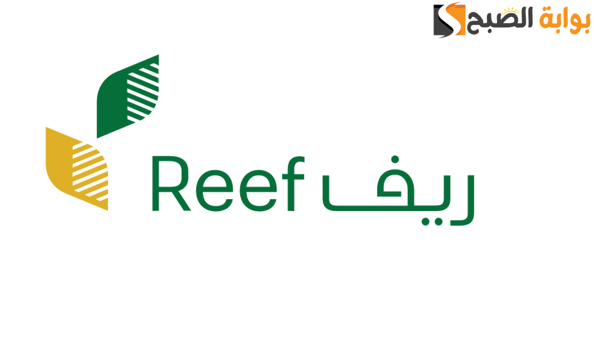ما هو المبلغ المحدد لدعم ريف للأسر المنتجة 2024؟.. إليكم التفاصيل الآن