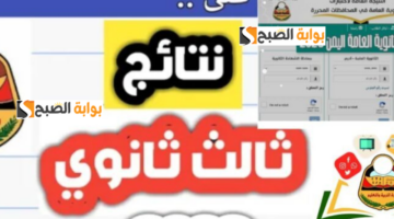 تصميم بدون عنوان11