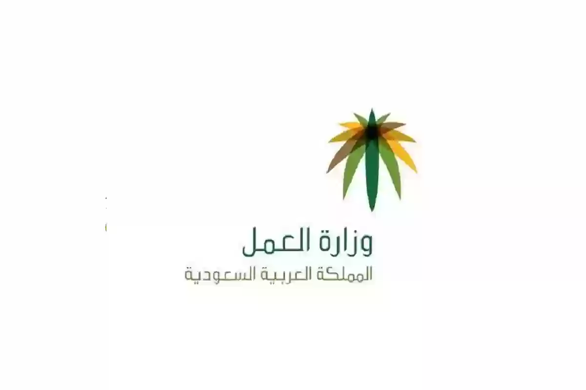 إجازة 12 أسبوع وغيرها.. أبرز تعديلات نظام العمل الجديدة بالسعودية 2024