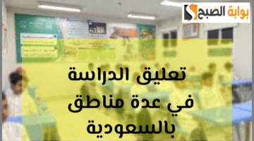 تعليق الدراسة