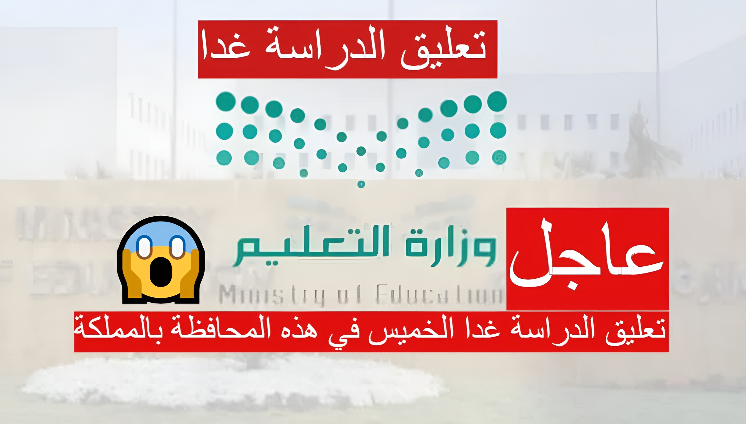 عاجل| تعليق الدراسة غدا الخميس 29 في هذه المحافظة بالمملكة.. بسبب سوء الأحوال الجوية