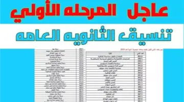 تنسيق الثانوية العامة 2024 المرحلة الأولى