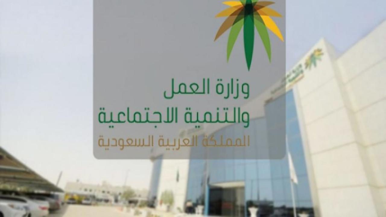 وزارة الموارد البشرية تشدد على تنظيم توظيف السعوديين واستقدام العمالة.. وعقوبات صارمة للمخالفين 5 وزارة الموارد البشرية تشدد على تنظيم توظيف السعوديين واستقدام العمالة.. وعقوبات صارمة للمخالفين