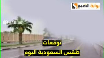 حالة طقس السعودية اليوم 1