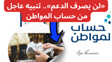 حساب المواطن