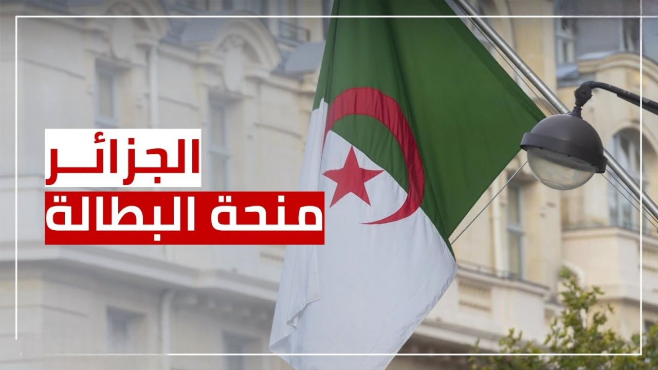 ما هي حقيقة إيقاف منحة البطالة في الجزائر 2024؟.. الوكالة الوطنية للتشغيل تكشف الحالات