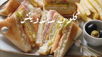خطوات عمل سندوتش كلوب بالجين