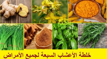 خلطة الأعشاب السبعة لجميع الأمراض متعددة الفوائد 1