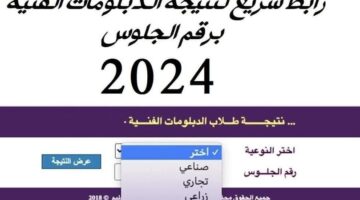رابط شغال نتيجة الدبلومات الفنية الدور الثاني 2024 بالاسم ورقم الجلوس