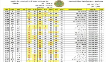 رابط نتائج السادس الابتدائي 2024 الدور الثاني