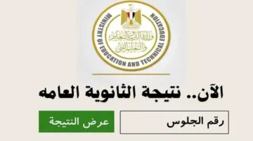 رابط نتيجة الثانوية العامة 2024 برقم الجلوس 1