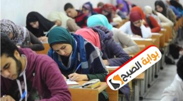 رابط نتيجة الدبلومات الفنية 2024 الدور الثاني برقم الجلوس