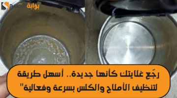رجّع غلايتك كأنها جديدة. أسهل طريقة لتنظيف الأملاح والكلس بسرعة وفعالية 20240831 002244 ٠٠٠٠