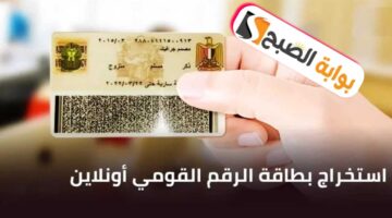 رسوم وخطوات استخراج بطاقة الرقم القومي عبر الانترنت