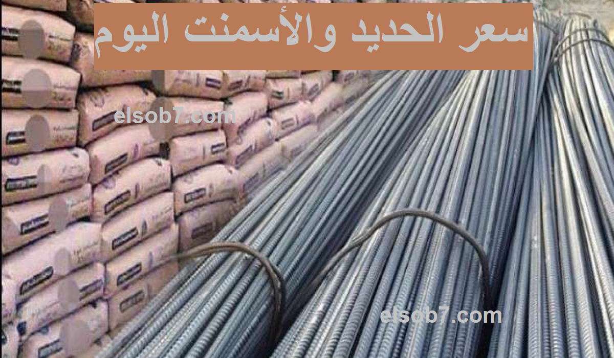 ارتفع بأكثر من 600 جنيه .. سعر طن الحديد والأسمنت اليوم في مصر