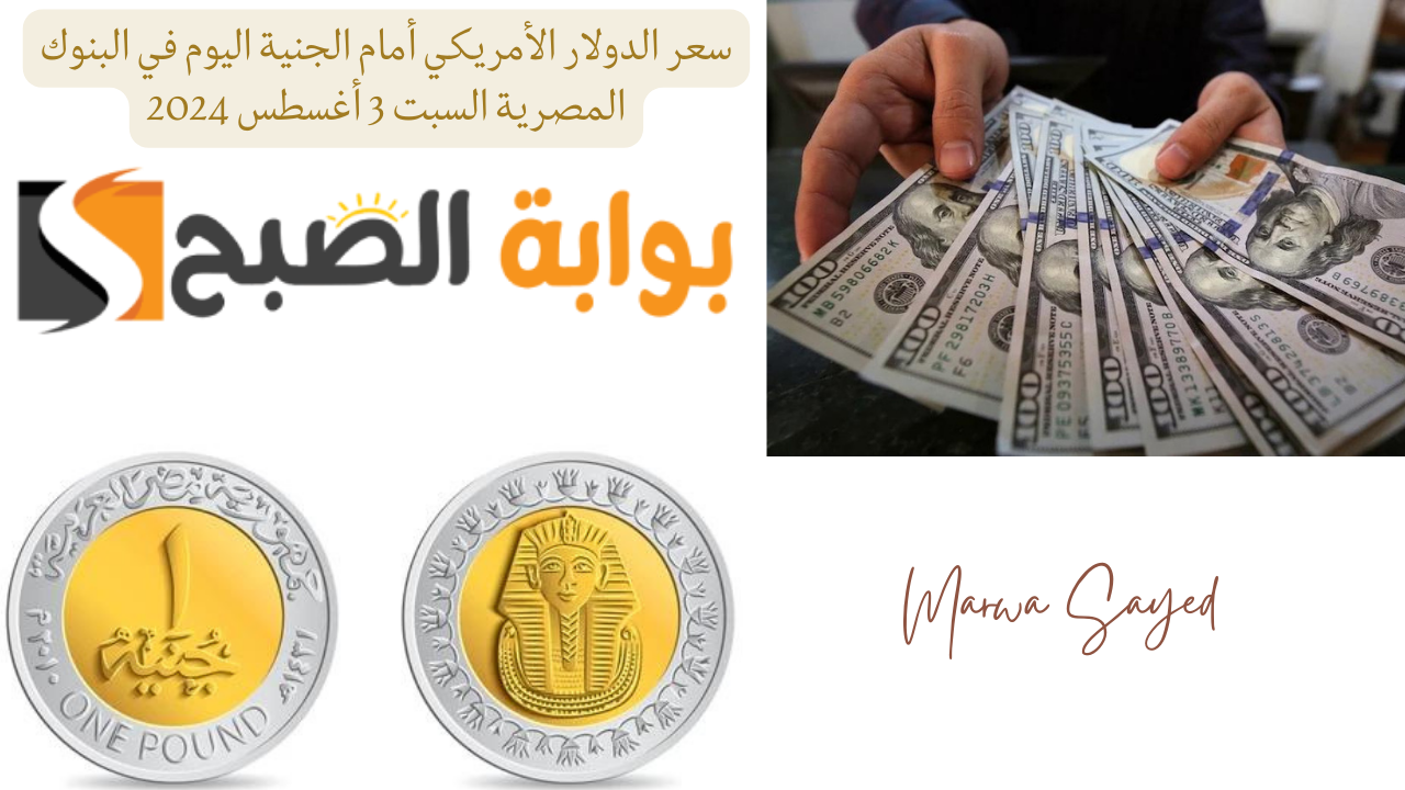 “بكام الدولار اليوم ؟ ” .. سعر الدولار الأمريكي أمام الجنية اليوم في البنوك المصرية السبت 3 أغسطس 2024