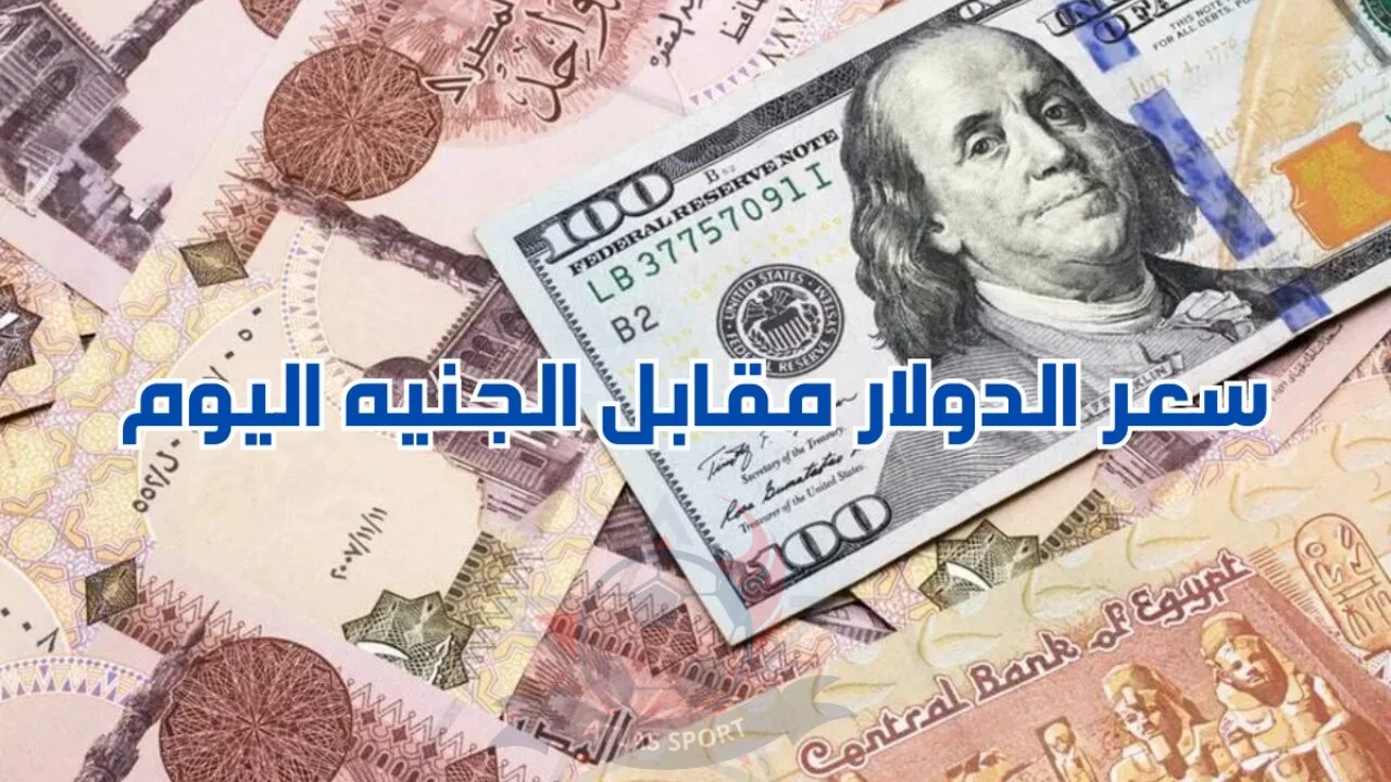 ارتفاع جديد.. سعر الدولار اليوم مقابل الجنيه المصري الأربعاء 21-8-2024 في البنوك