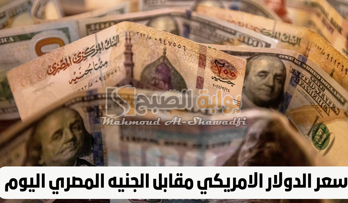 ” الأخضر وصل كام؟”.. تراجع جديد لسعر الدولار اليوم مقابل الجنيه المصري الجمعة 30 أغسطس 2024