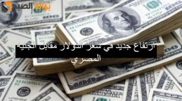 سعر الدولار مقابل الجنيه المصري 1 1