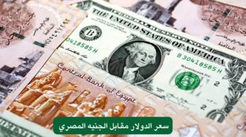سعر الدولار مقابل الجنيه المصري