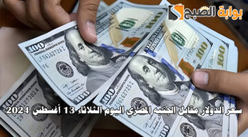 سعر الدولار مقابل الجنيه المصري اليوم الثلاثاء 13 أغسطس 2024
