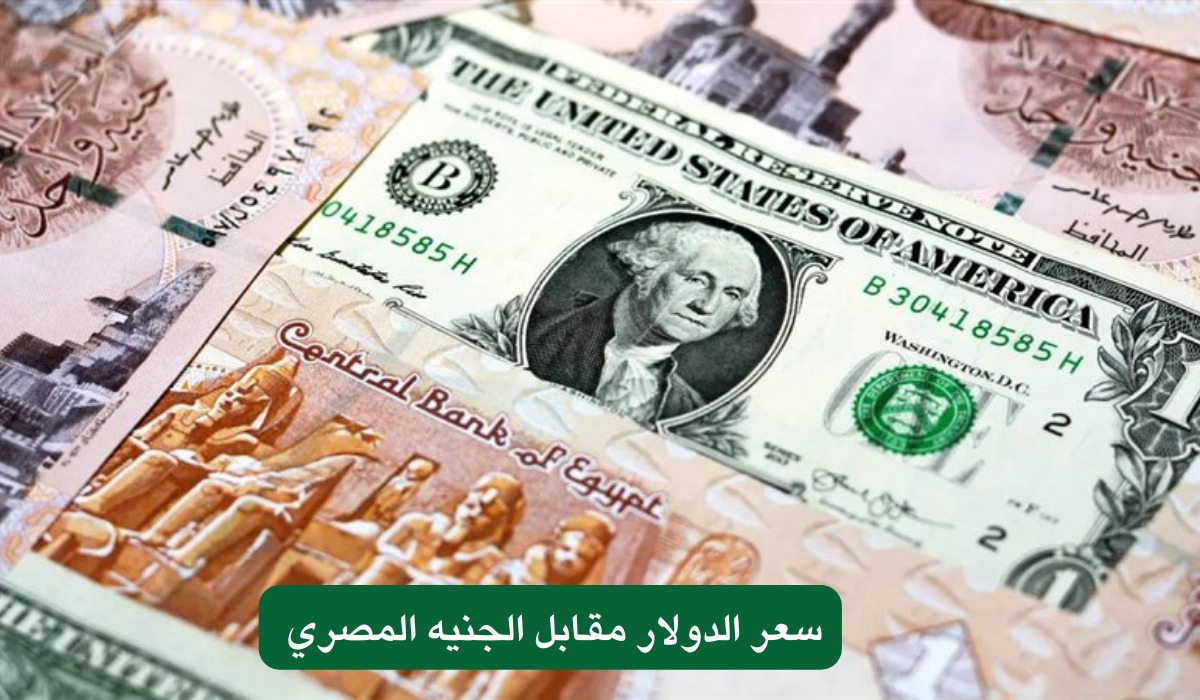 “يغازل الـ50”.. الدولار يسجل أعلى مستوى أمام الجنيه المصري منذ مارس الماضي