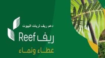 شروط دعم العسل1