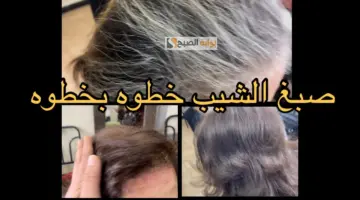 صبغ الشعر الأبيض