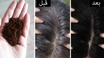 صبغ الشعر الابيض
