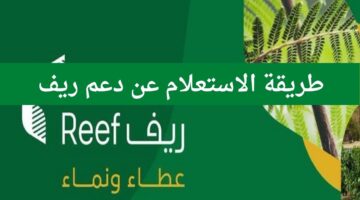 طريقة الاستعلام عن دعم ريف 2 1