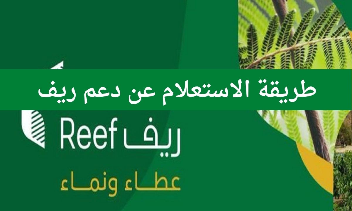 متى ينزل؟.. موعد صرف دعم ريف لشهر سبتمبر المقبل 2024 وما هي خطوات الاستعلام عن الدعم 2 متى ينزل؟.. موعد صرف دعم ريف لشهر سبتمبر المقبل 2024 وما هي خطوات الاستعلام عن الدعم